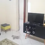 Little Apt